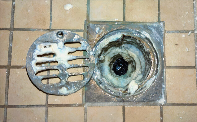 https://blockeddrainsstirling.com.au/uploads/2025/07/blocked-shower-drains-33151.jpg