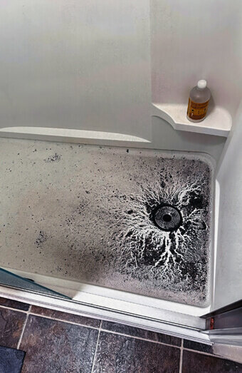 https://blockeddrainsstirling.com.au/uploads/2025/07/blocked-shower-drains-83587.jpg