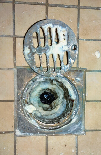 https://blockeddrainsstirling.com.au/uploads/2025/07/blocked-shower-drains-86331.jpg