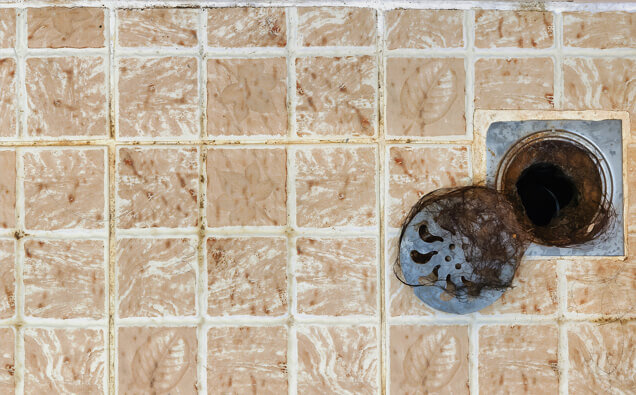 https://blockeddrainsstirling.com.au/uploads/2025/07/blocked-shower-drains-91576.jpg