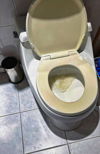 https://blockeddrainsstirling.com.au/uploads/2025/07/blocked-toilet-27293.jpg